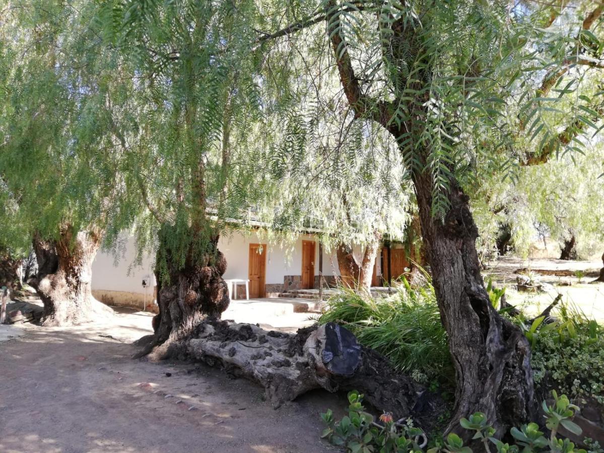 Hotel Doornfontein Guest Farm Cradock Exterior foto